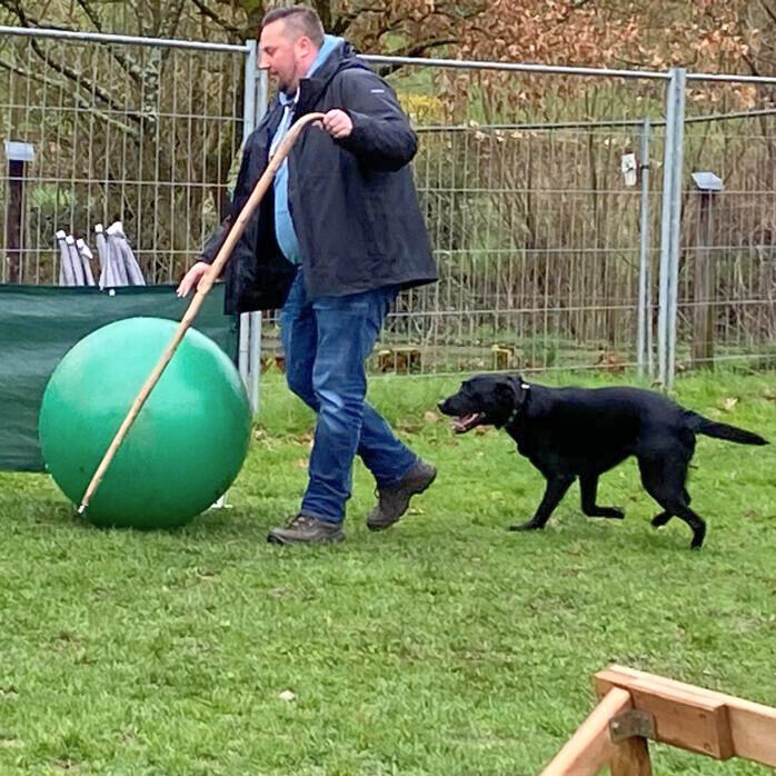 Treibball - Gruppe