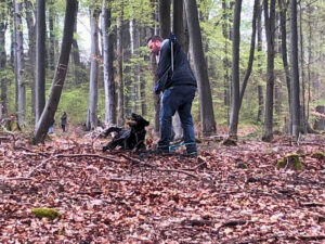 Trail Hunting mit Mann und schwarzem Labrador
