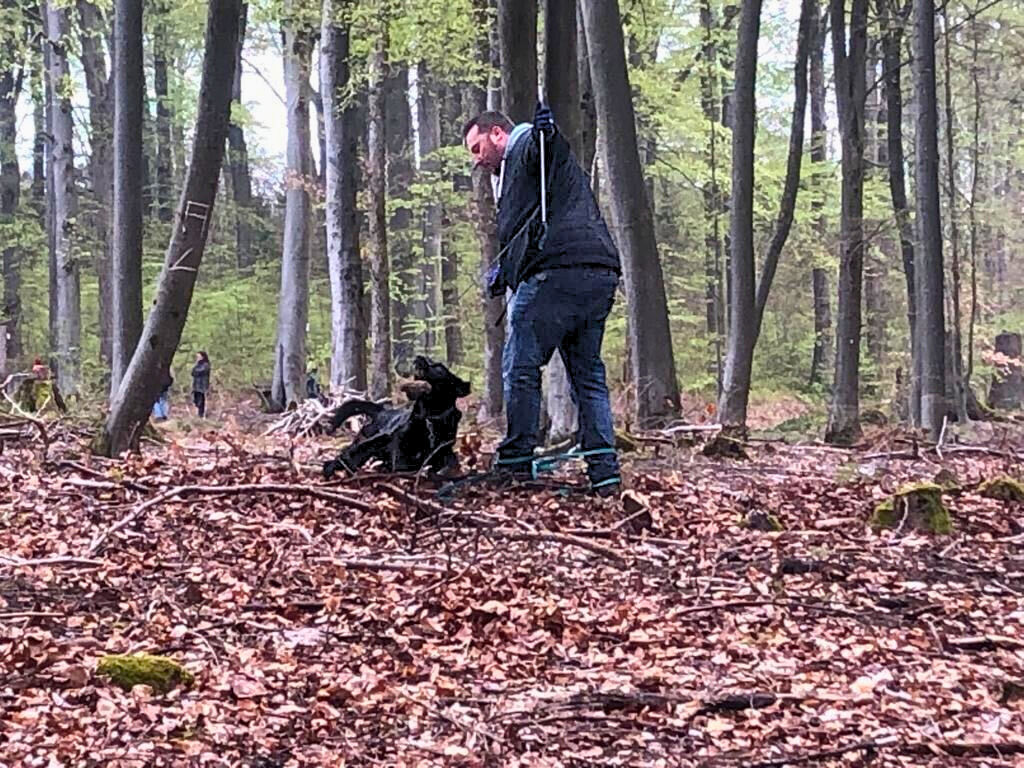 Trail Hunting mit Mann und schwarzem Labrador